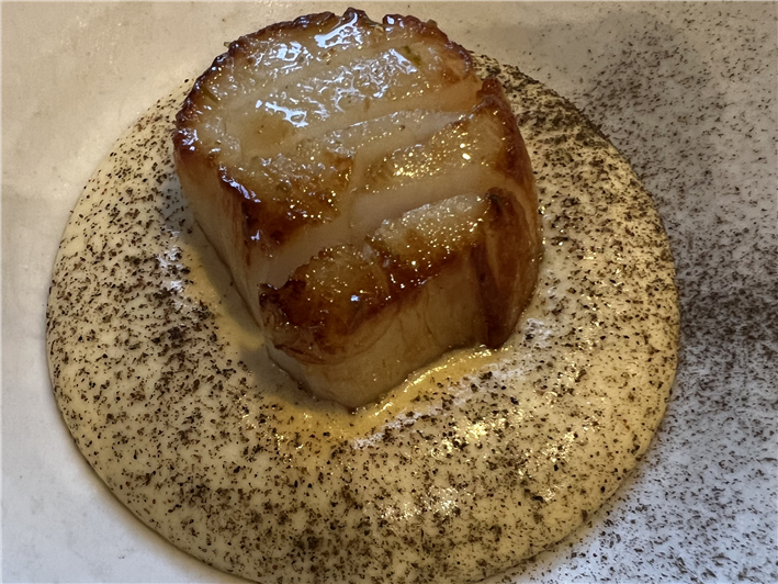 scallop